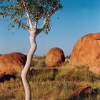 Devils Marbles/Australien