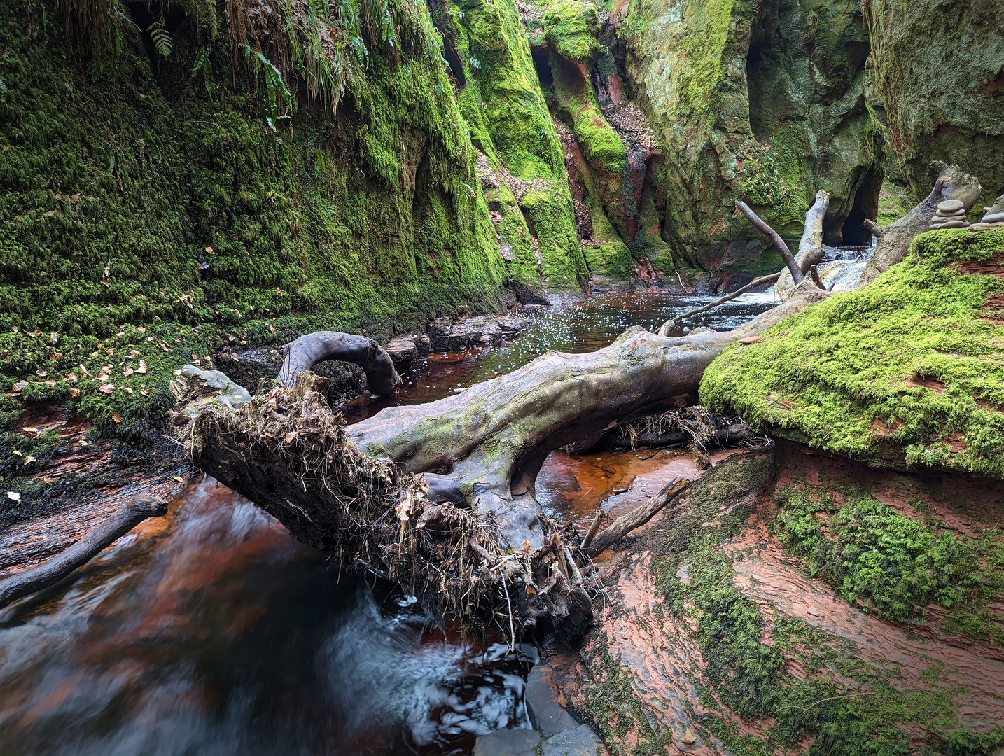 Devil's Pulpit, Finnich Glen, Schottland