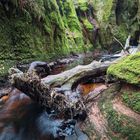 Devil's Pulpit, Finnich Glen, Schottland