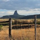 Devil's Tower