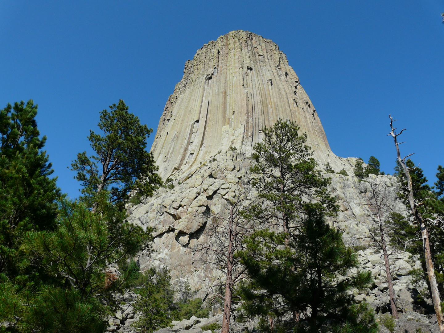 Devils Tower