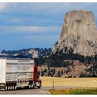 Devils Tower I