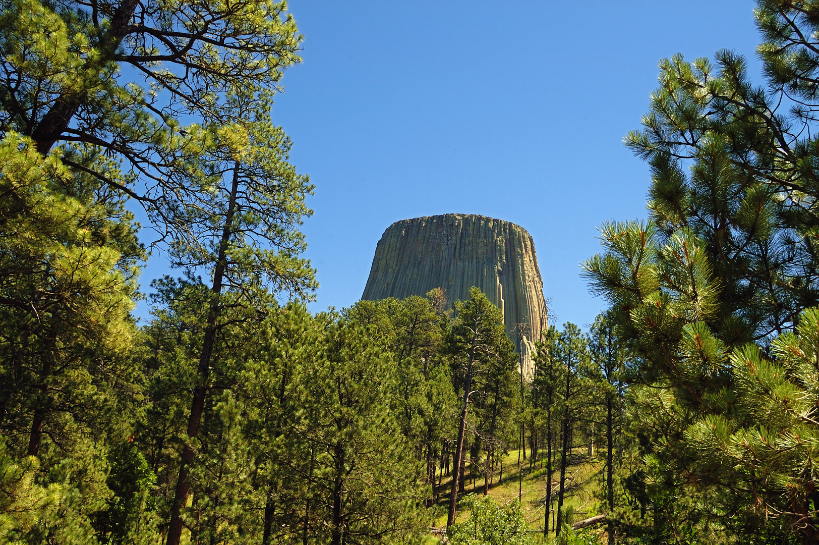 Devils Tower National Park