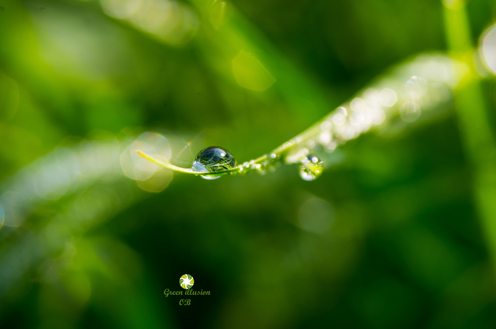 ...Dewdrop...