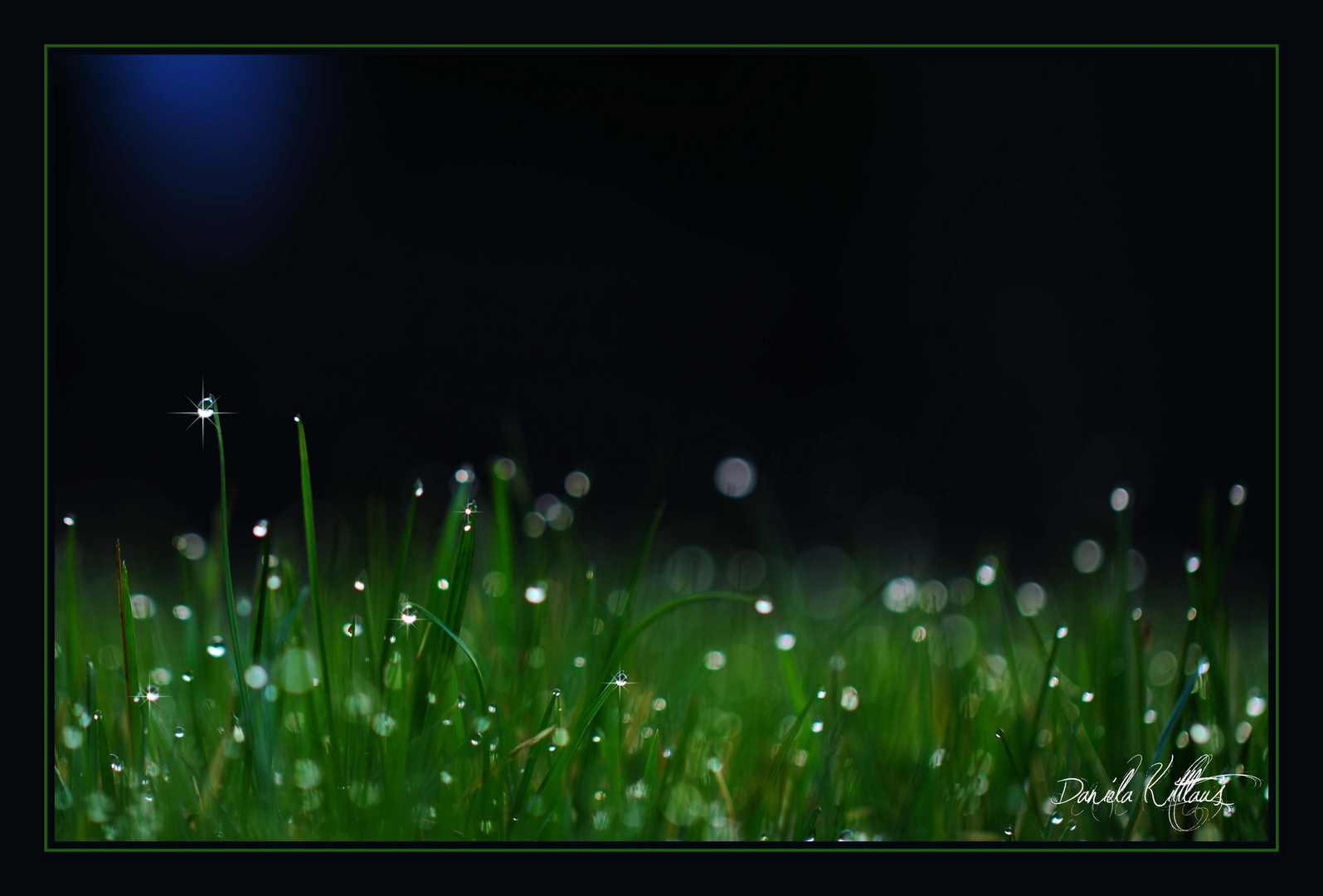 Dewdrops I