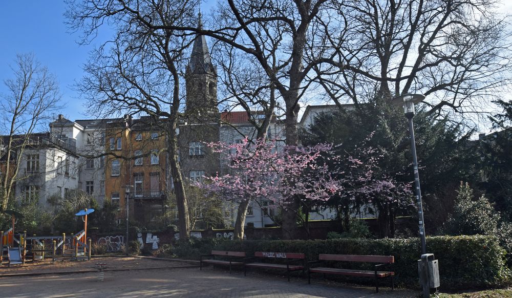Deweerth'scher GartenLuisenpark. Foto & Bild wuppertal, wasserspiele