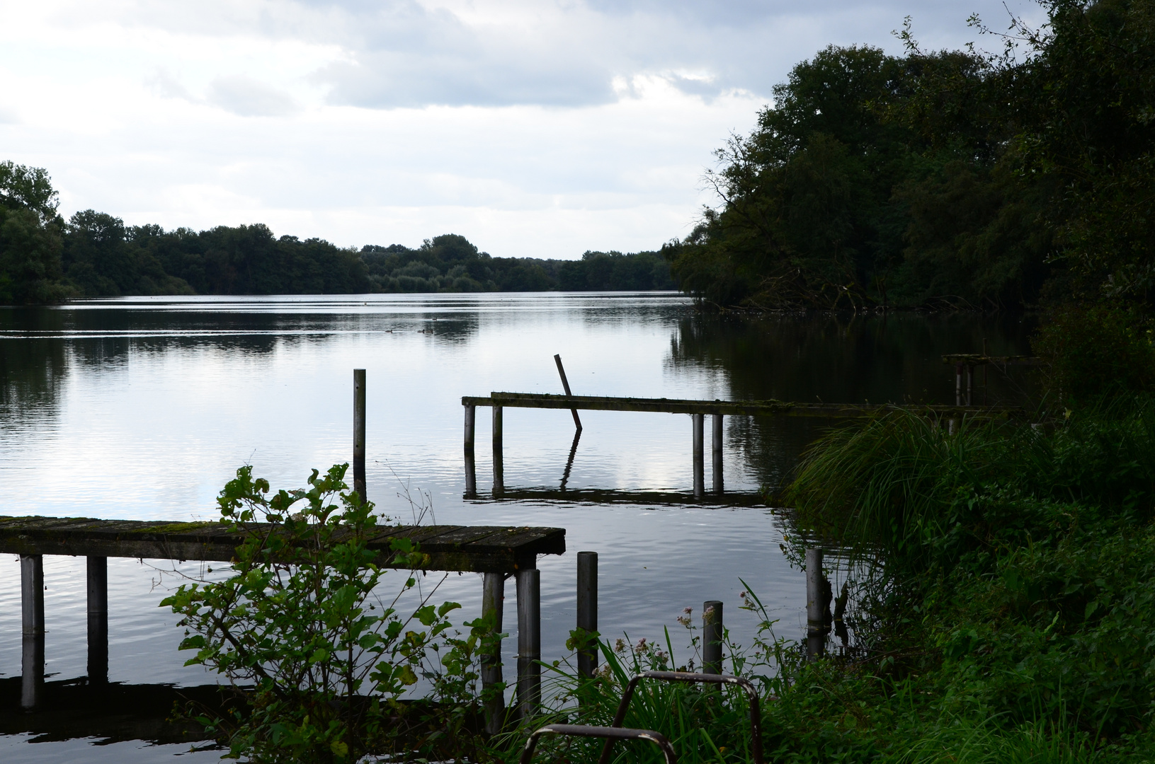 DeWitt-See Naturpark Schwalm-Nette 15.09.2013