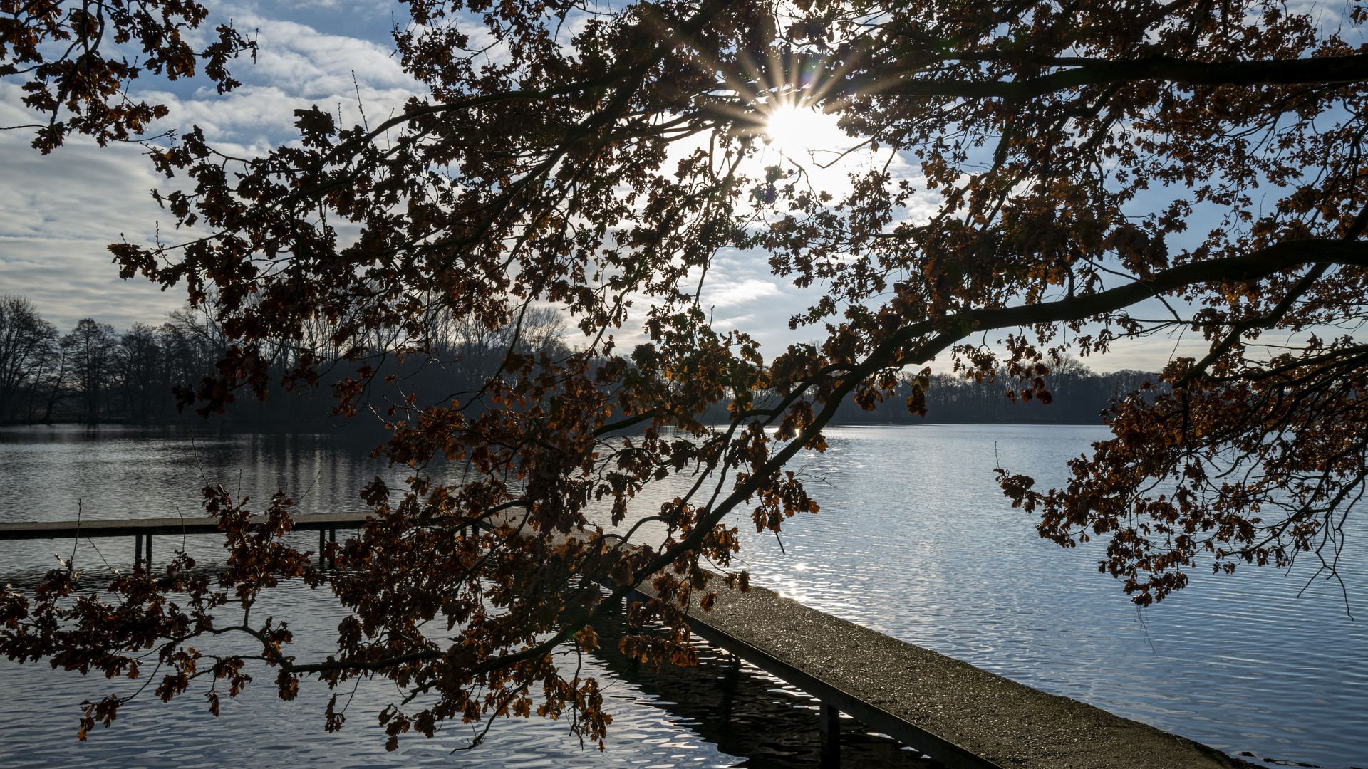 DeWitt See, Stimmungsvoller Spaziergang