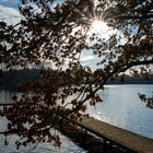 DeWitt See, Stimmungsvoller Spaziergang