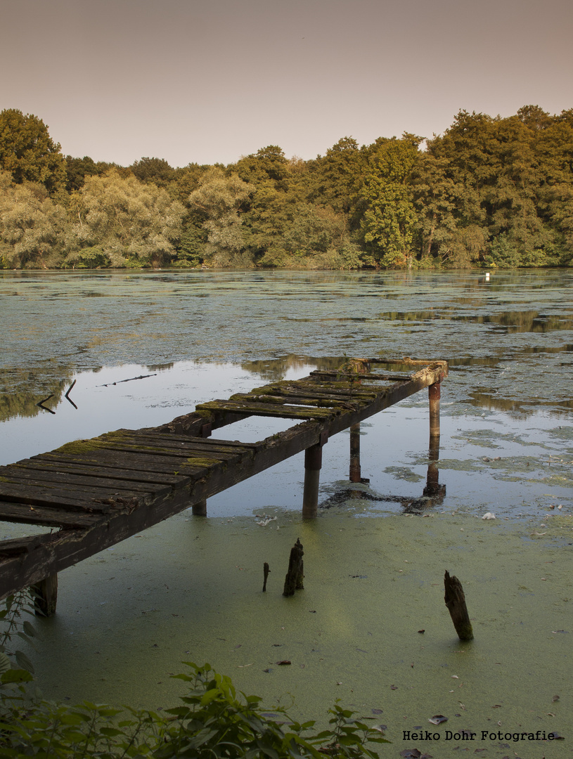 DeWittsee / Nettetal #01