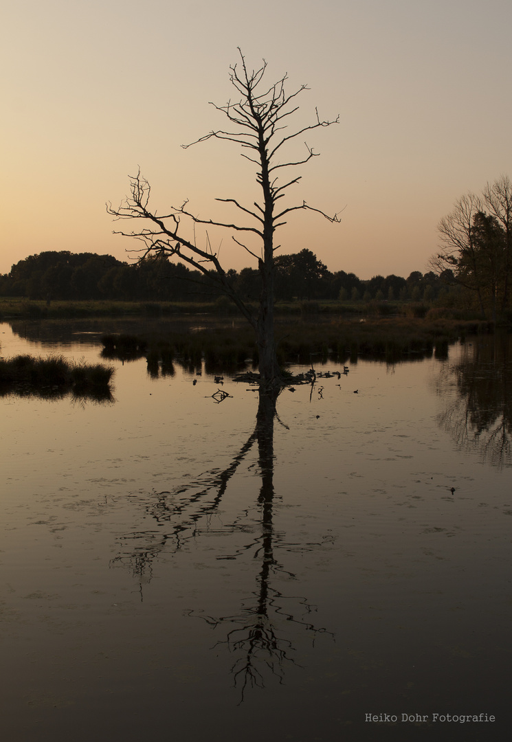 DeWittsee / Nettetal #02