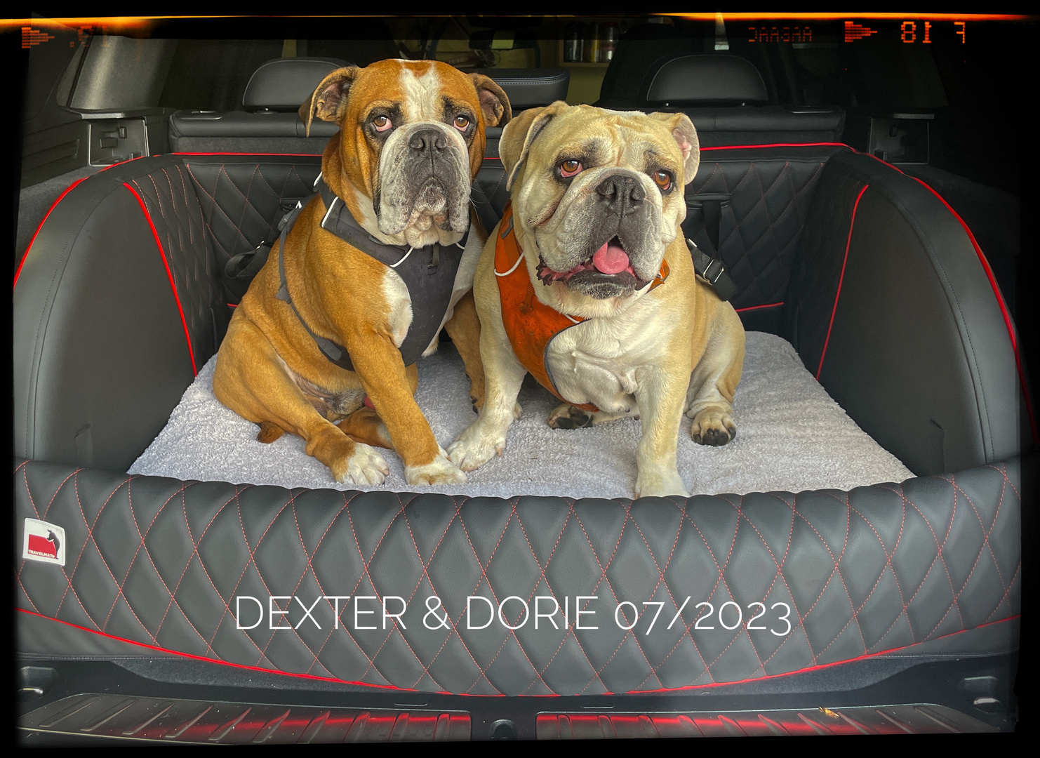 Dexter & Dorie