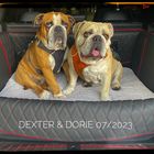 Dexter & Dorie