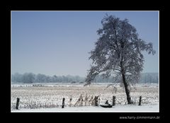 Dezember 2010.