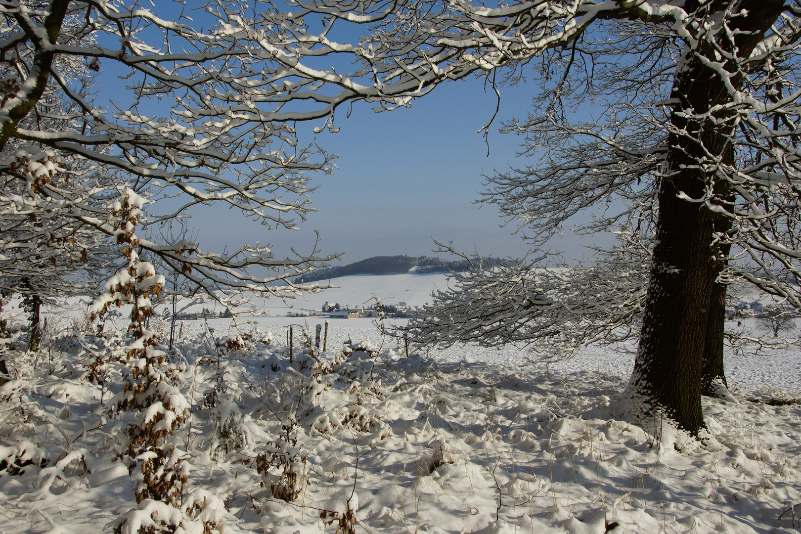 Dezember 2012 Blick auf den Hutberg bei Kamenz