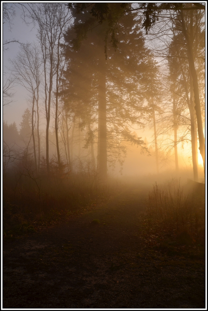 Dezember 2015 - Sonnenuntergang im Winter