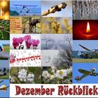 Dezember 2023 Rückblick