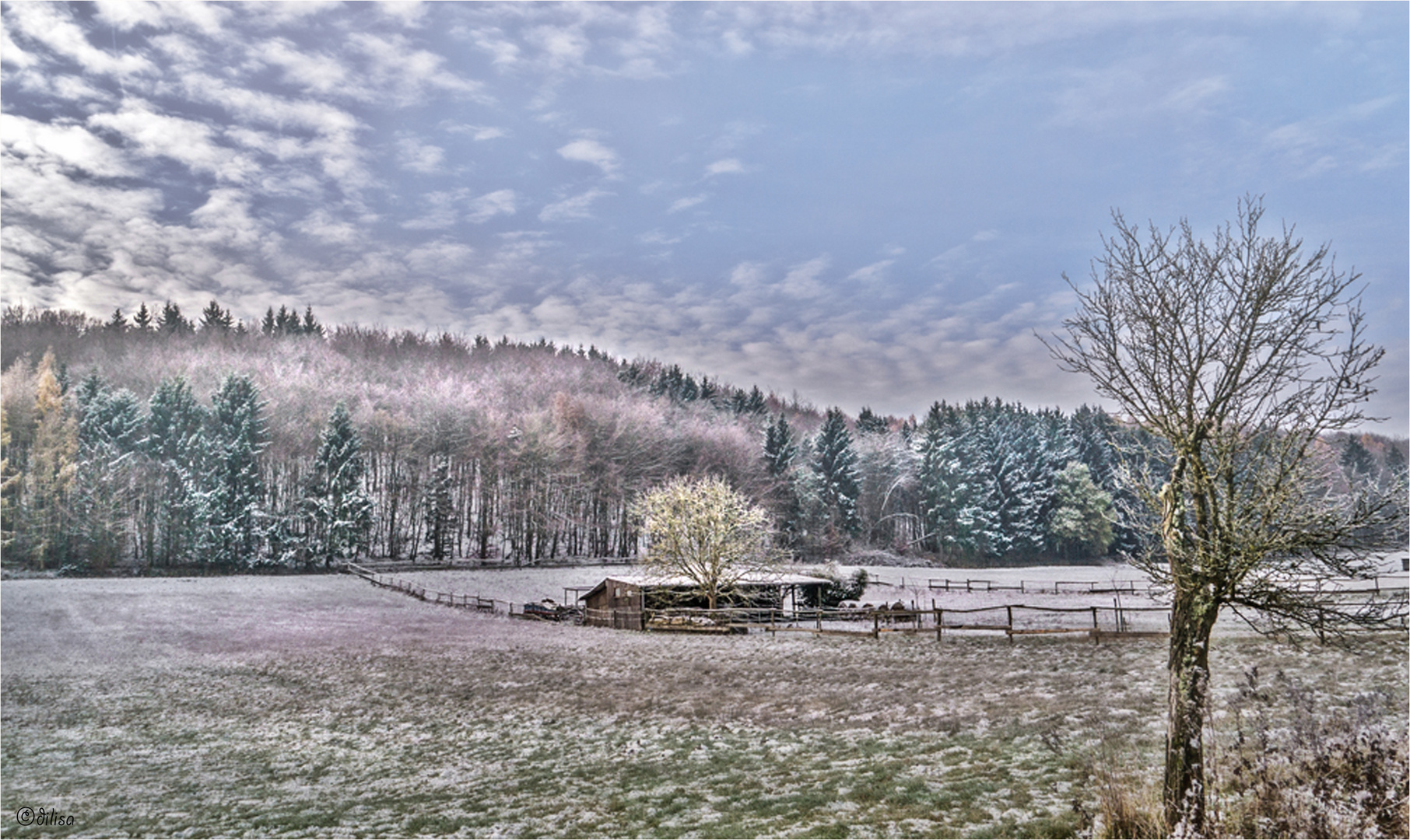 Dezember Foto & Bild | dezember, winter, stille Bilder auf fotocommunity
