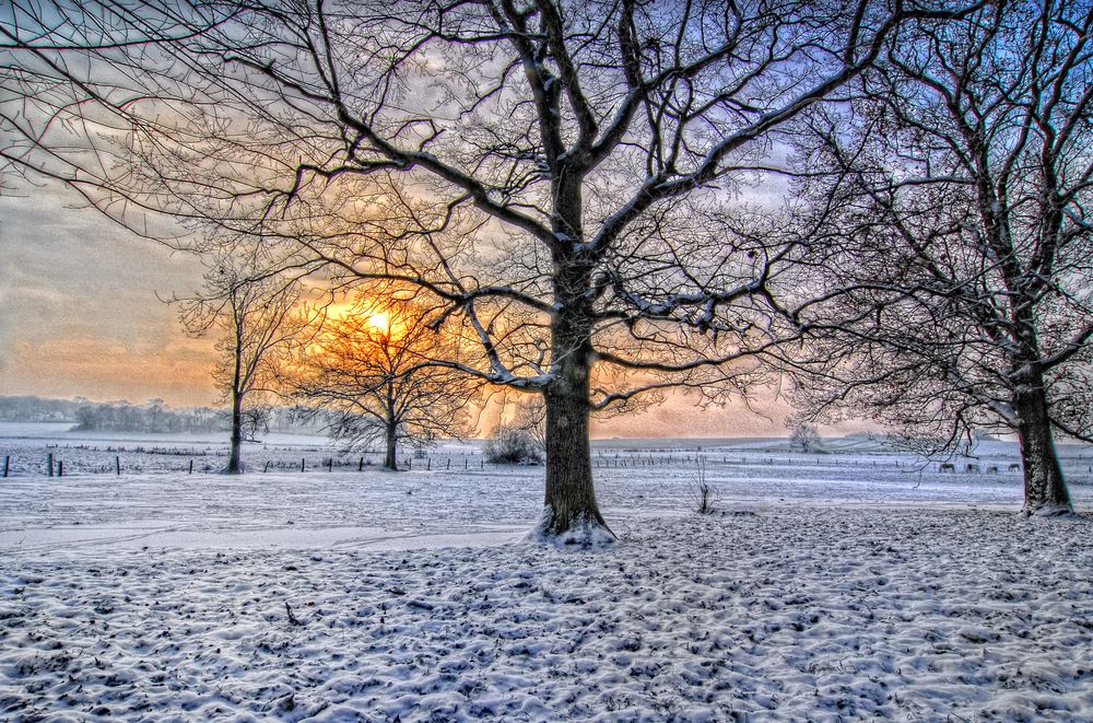 Dezember Foto & Bild landschaft, garten & parklandschaften, natur