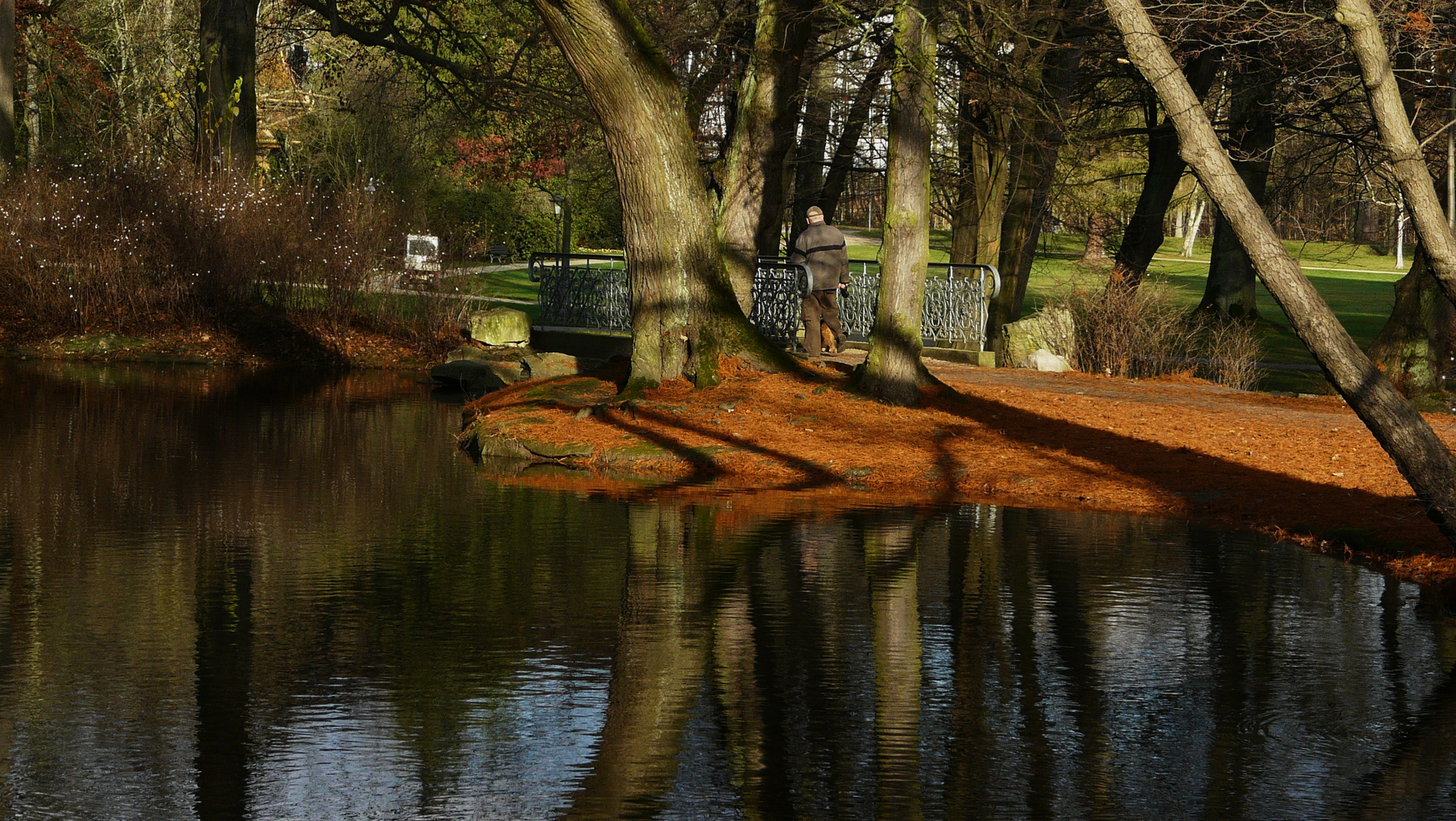 Dezember Foto & Bild | landschaft, garten- & parklandschaften, natur
