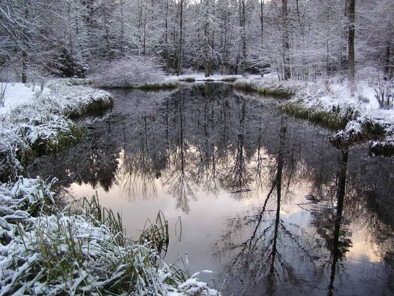 Dezember Abend im Kurwald