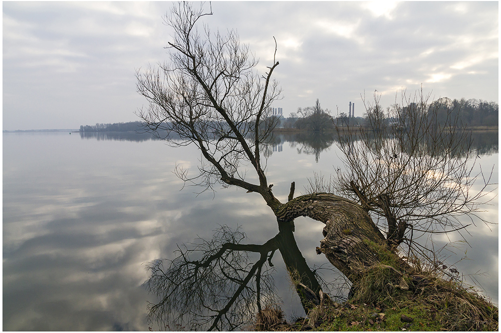 Dezember...... am See