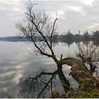 Dezember...... am See