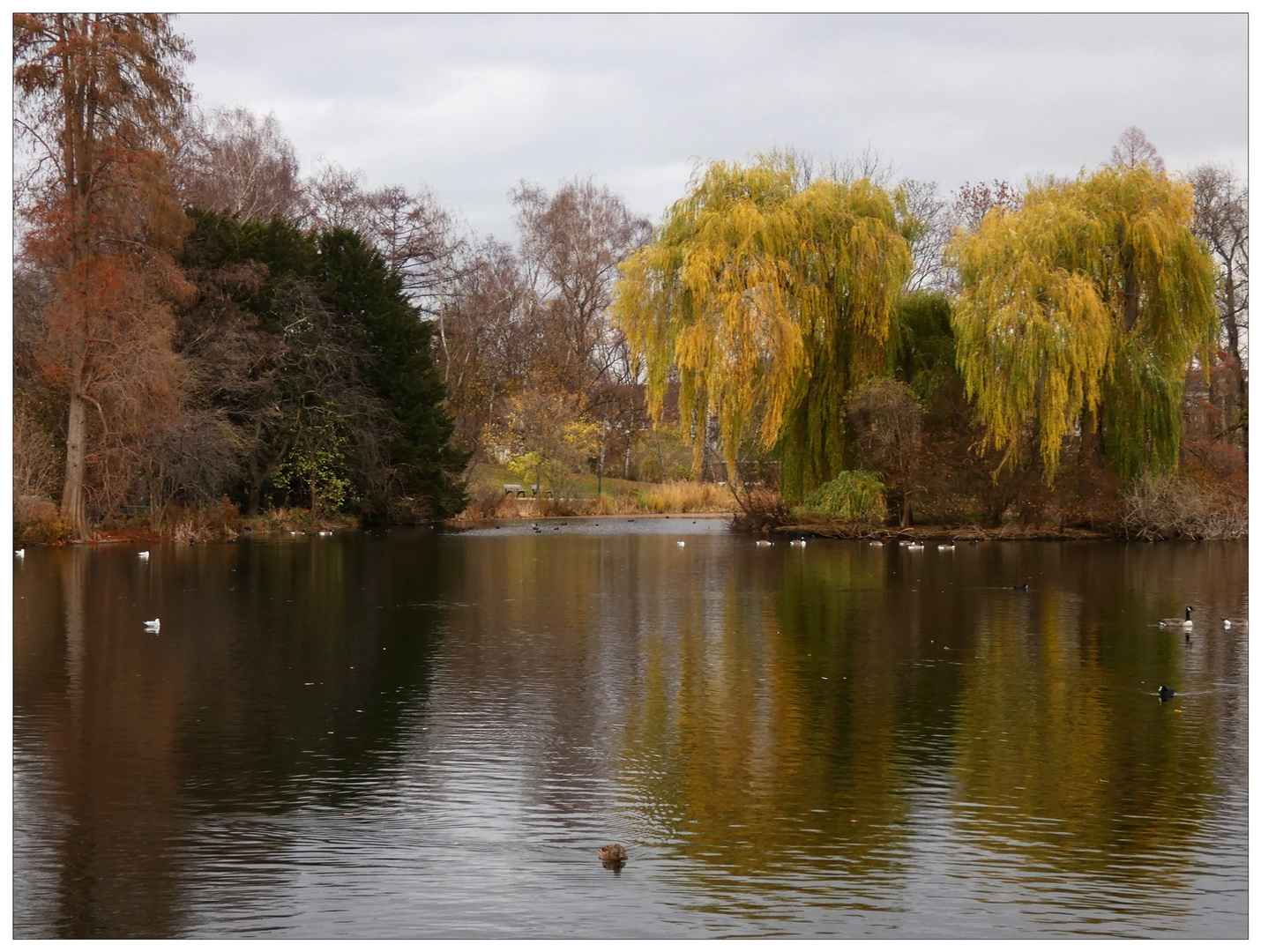 Dezember am See