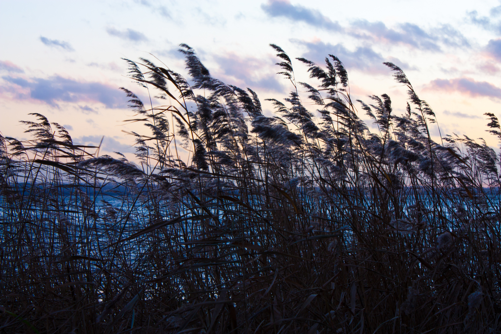 Dezember am Steinhuder Meer