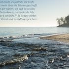 Dezember am Strand