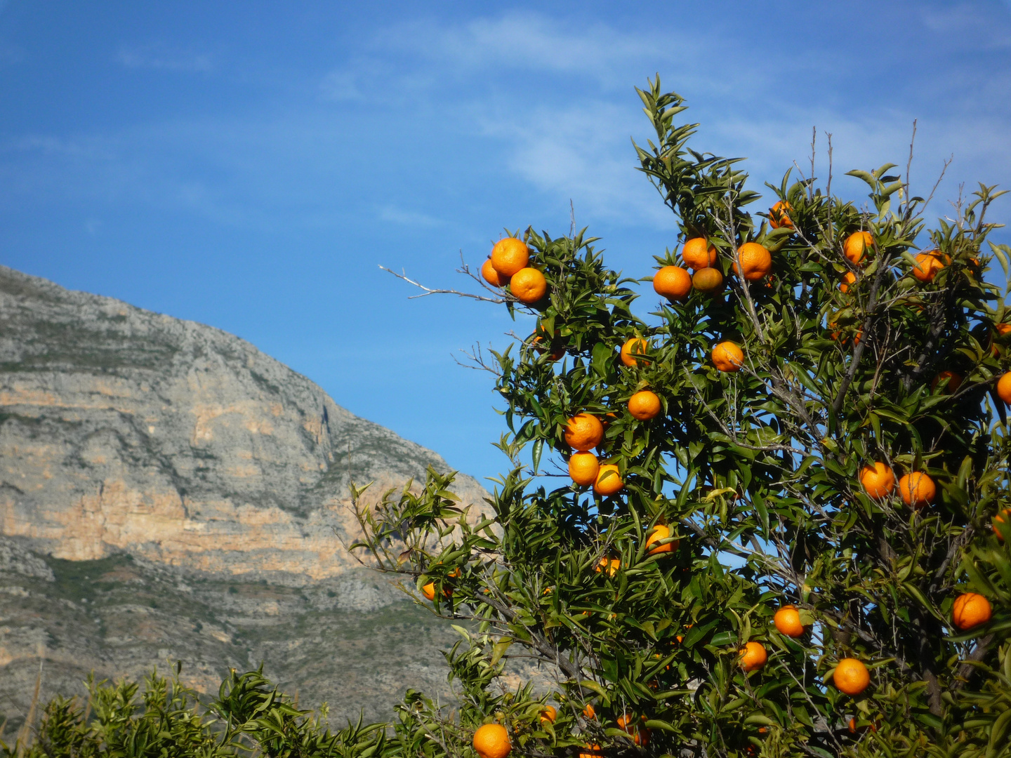 Dezember an der Costa Blanca/Spanien