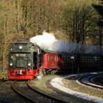 Dezember Ausflug nach Eisfelder Talmühle.