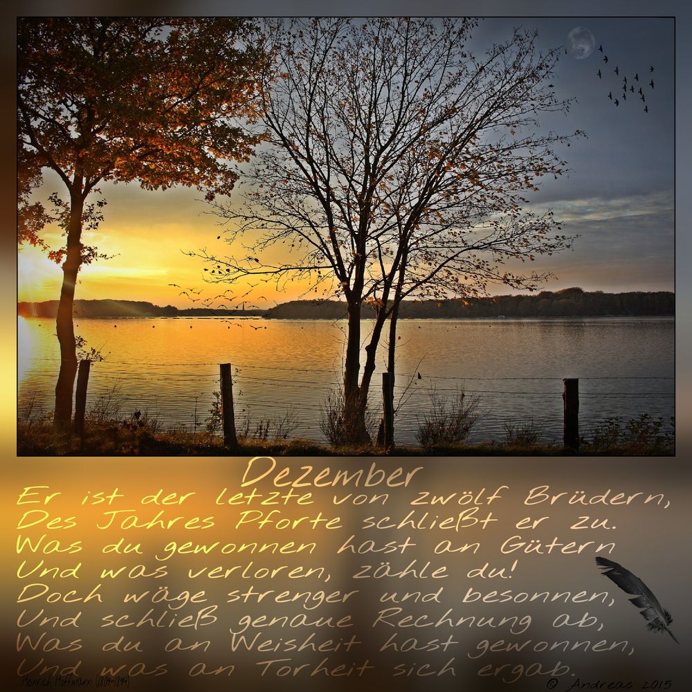 Dezember Foto & Bild jahreszeiten, winter, stausee Bilder auf