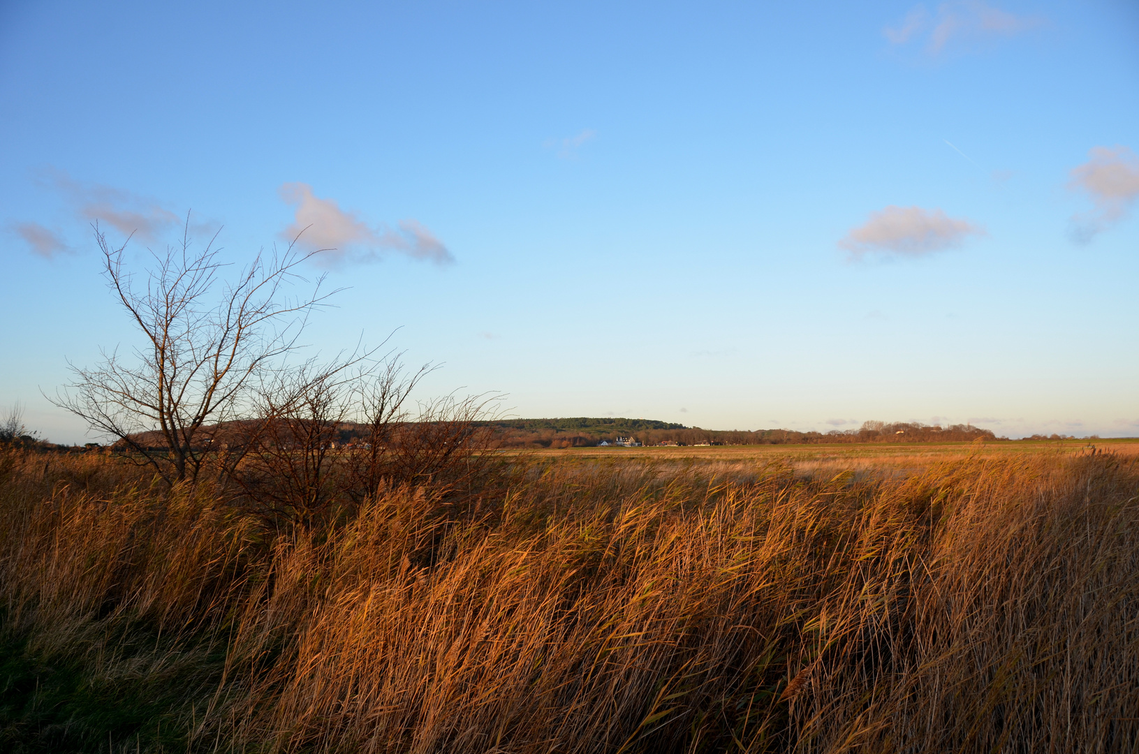 Dezember Farben 