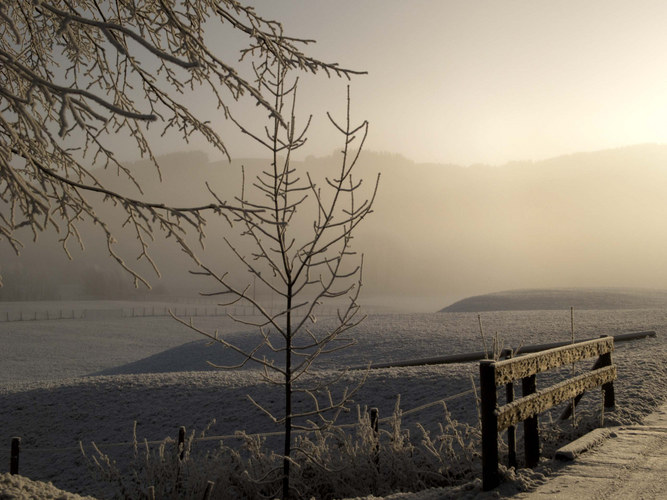 Dezember im Appenzellerland - 1