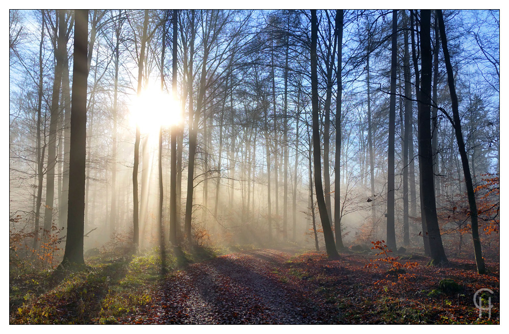 Dezember im Knüllgebirge