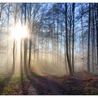 Dezember im Knüllgebirge