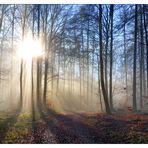 Dezember im Knüllgebirge