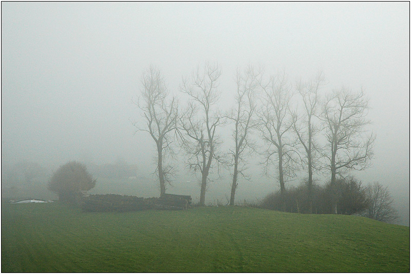 Dezember im Nebel...