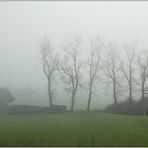 Dezember im Nebel...