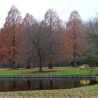 Dezember im Park