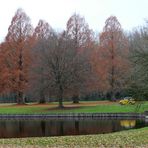 Dezember im Park