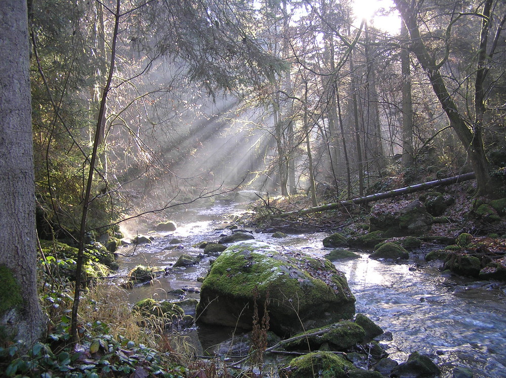 Dezember im Perlbachtal bei Mitterfels