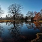 Dezember im Schlosspark