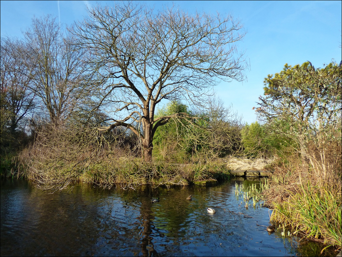 Dezember im Südpark