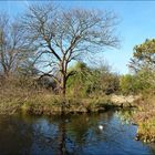 Dezember im Südpark