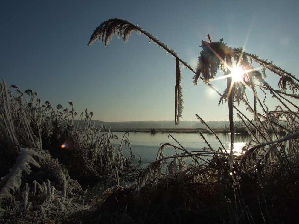 Dezember in Brandenburg