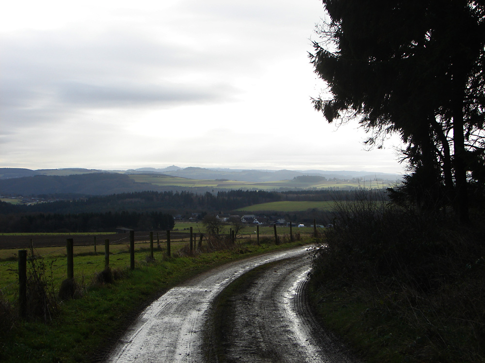 Dezember in der Eifel ohne Schnee