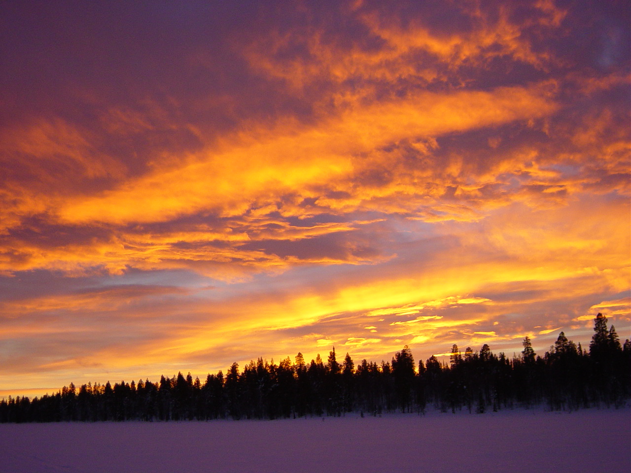 Dezember in Lappland