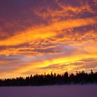 Dezember in Lappland